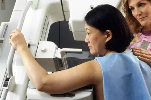 Assim como o ginecologista, mulheres devem consultar um mastologista anualmente