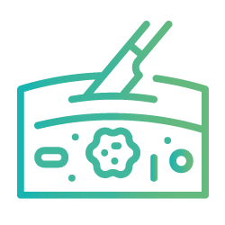 Cirurgia Oncológica