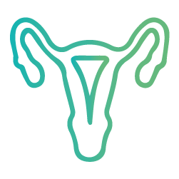 Ginecologia & Obstetrícia