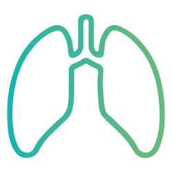 Pneumologia