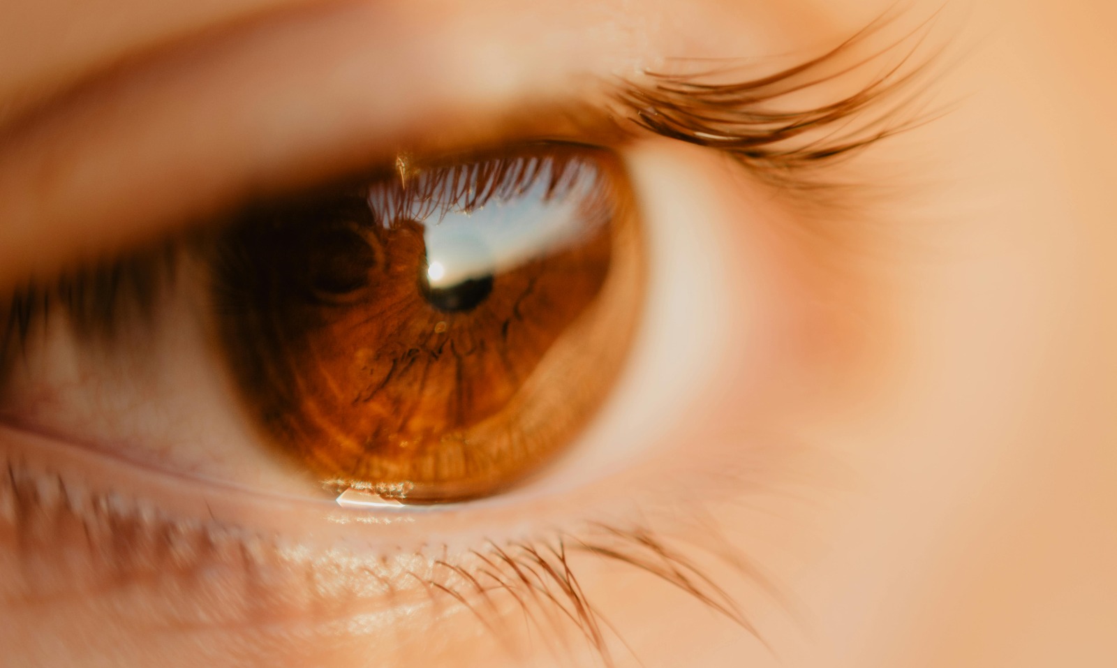 Glaucoma é uma das principais causas de cegueira no mundo