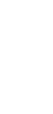 Logo Rodapé