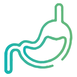 Exames Endoscópicos